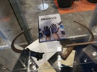 Modern 'Coutdigos' - indigo cutter - the name is still in use today